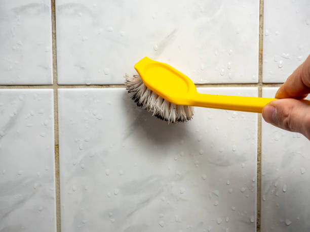 Best Mold Testing and Removal  in South Hutchinson, KS