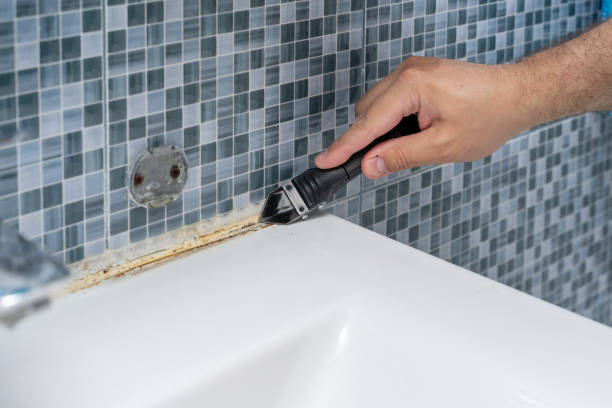 Best Attic Mold Removal  in South Hutchinson, KS